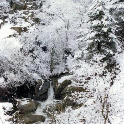 Villa Kastanodasos Emporio  Buitenkant foto